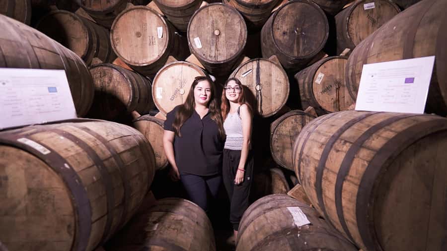 Classic Tequila Route Tour from Guadalajara and cantaritos el GÜERO!!! - The van, the guides, and the day’s rhythm