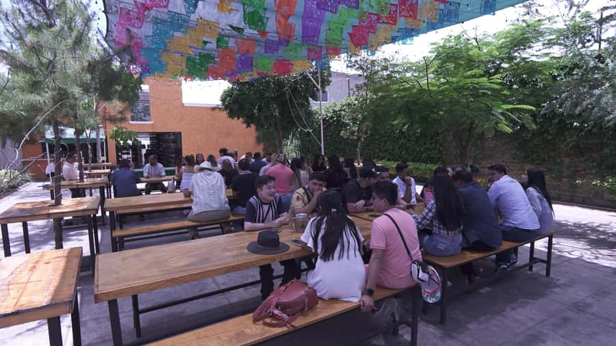 Classic Tequila Route Tour from Guadalajara and cantaritos el GÜERO!!! - Is $41 a fair price?