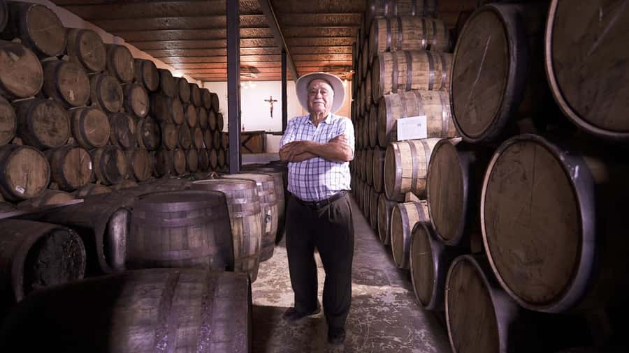 Classic Tequila Route Tour from Guadalajara and cantaritos el GÜERO!!! - Inside Don Cayo, where tequila becomes a process