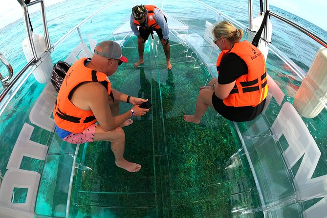 Clearboat: Glass-bottom boat ride to the Caribean Sea - Wildlife sightings and what you may actually see