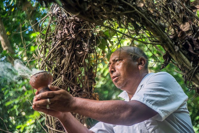 Coba Ruins, Punta Laguna Nature Reserve, Cenote and Mayan family - Canoeing and ziplining over the lagoon