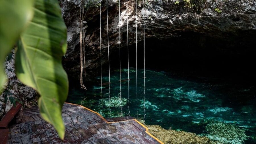 Coba, Tulum, Cenote & Lunch ECO Full Day from Rivera - Transport can shape the whole experience