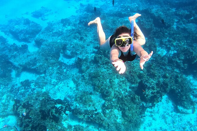 Colombia, Palancar & Cielo Cozumel Snorkel Tour - Meeting near the ferry terminal or hotel pier