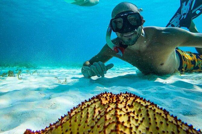 Colombia, Palancar & Cielo Cozumel Snorkel Tour - Safety, comfort and the small-group question