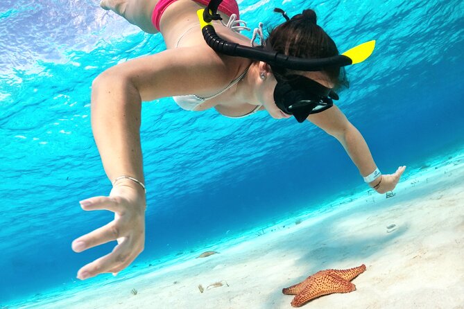 Colombia, Palancar & Cielo Cozumel Snorkel Tour - Colombia and Palancar reefs when conditions allow