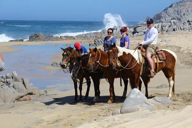 Combo Horseback Beach Ride & ATV Adventure. Tequila Tasting - Who should book this Cabo adventure?