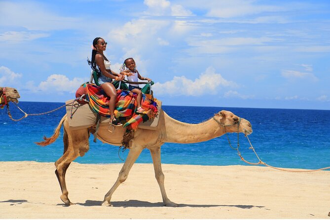 Combo Horseback Ride and Sky Bike in Cabo - Should you book the Cabo horseback and sky bike tour?