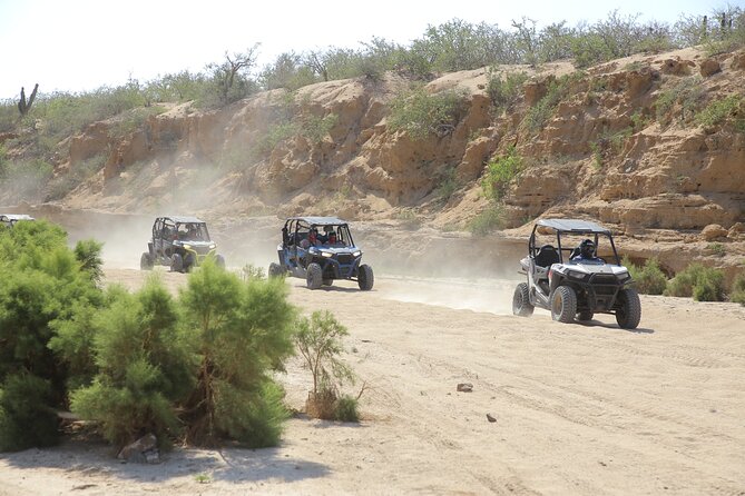 Combo Single Offroad 4x4 UTV, Camel Ride, Lunch & Tequila Tasting - One ticket, four Baja experiences
