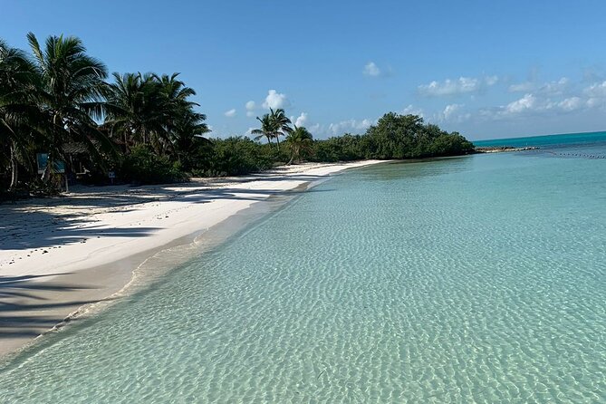 Contoy Island Tour from Cancun and Isla Mujeres with Snorkeling - Three hours on a protected island