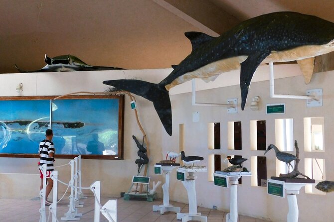Contoy Island Tour from Cancun and Isla Mujeres with Snorkeling - A short guided walk with useful context