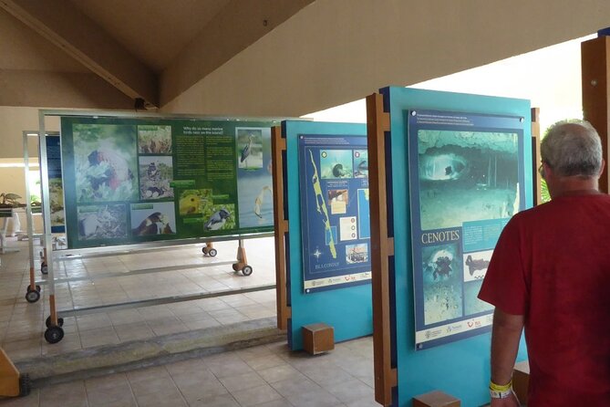 Contoy Island Tour from Cancun and Isla Mujeres with Snorkeling - Tikinxik fish, chicken, and a better-than-basic lunch