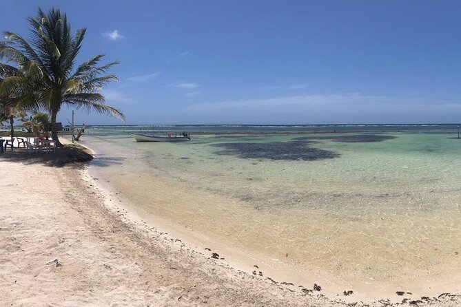 Costa Maya Beach Break All Inclusive From Port - How the timing works with a cruise ship