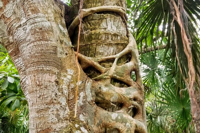 Costa Maya Shore Excursion: Chacchoben Day Trip - A small-group alternative to the ship excursion