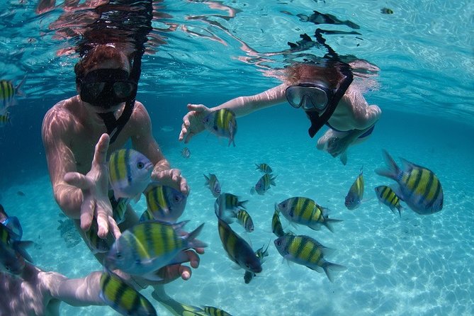 Costa Maya Snorkel Tour - From the cruise port to Mahahual’s Yaya Beach Club
