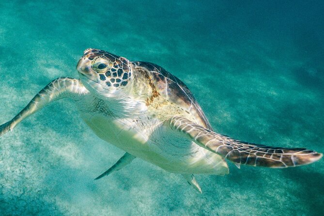 Costa Maya Snorkel Tour - Getting ready at Doctor Dive Costa Maya