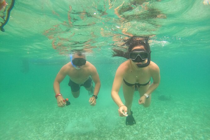 Costa Maya, snorkeling on the reef with fish, looking for turtles - GoPro photos without a separate photo bill