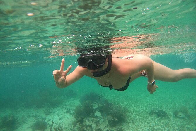 Costa Maya, snorkeling on the reef with fish, looking for turtles - Is $30 a good value?