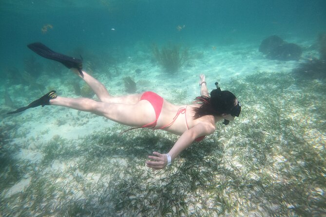 Costa Maya, snorkeling on the reef with fish, looking for turtles - What you see below the surface