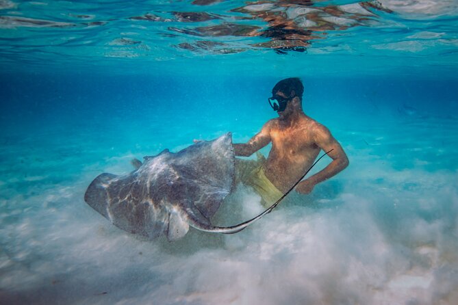 Cozumel All Inclusive: Coast & Relax 4h on 51' Leopard - Four hours aboard a private Leopard yacht