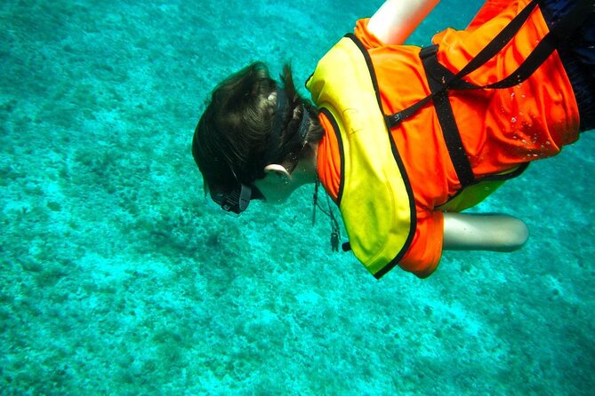 Cozumel Buggy Tour: Snorkeling , Otoch Mayan Experience & Lunch - What the $69 price really covers