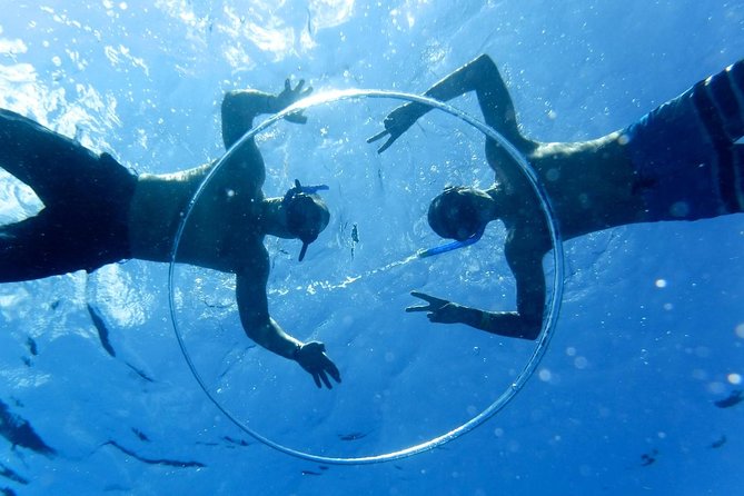 Cozumel Catamaran Snorkeling Tour & lunch® - A full day on Cozumel’s water