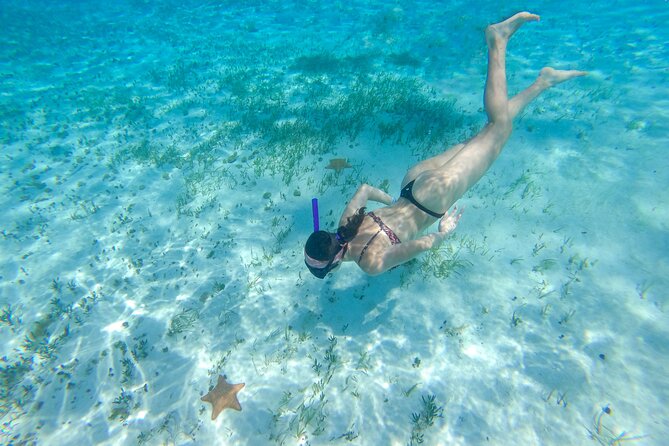 Cozumel Catamaran Snorkeling Tour & lunch® - Timing, communication, and practical planning