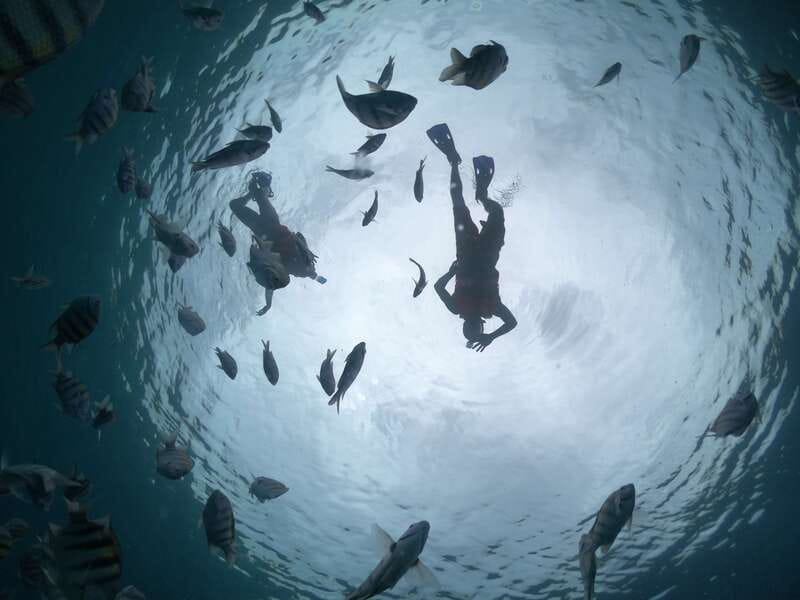 Cozumel: Clear Boat Ride and Snorkeling Trip - Drinks and time on deck