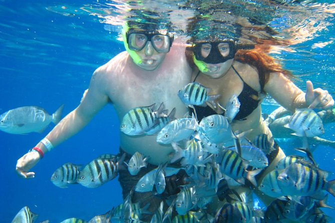 Cozumel Coral Reef Snorkeling by Glass Bottom Boat with Guide - Who will enjoy this most