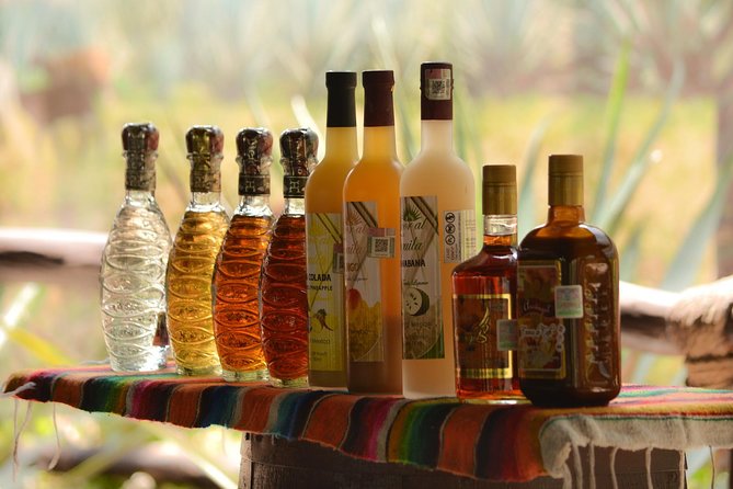 Cozumel Cultural Jeep Tour with Mayan Village and Mexican Lunch - Who will enjoy this Cozumel tour most