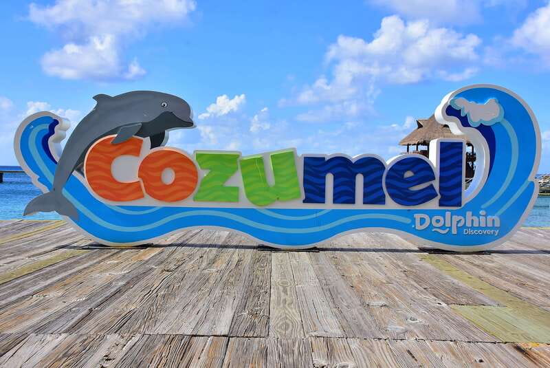 Cozumel: Dolphin Royal Connection and Manatee Interaction - Key points to know before booking