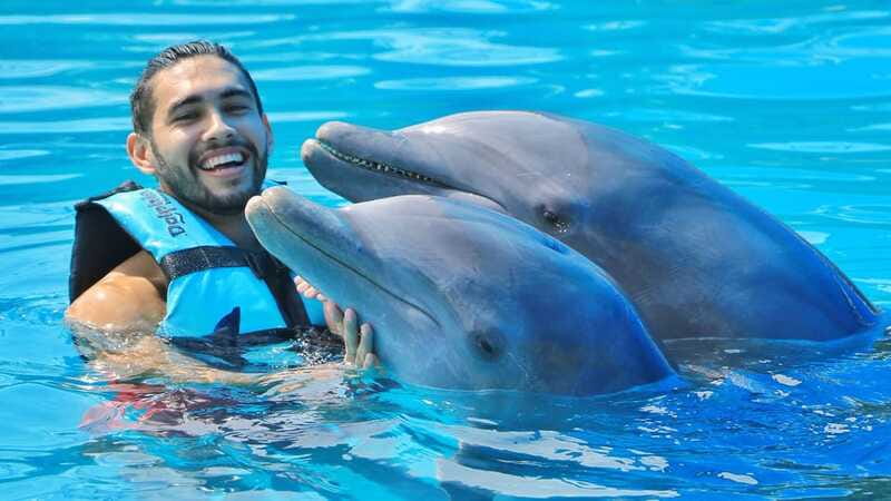 Cozumel: Dolphin Royal Connection and Manatee Interaction - Chankanaab Park adds value after the animals
