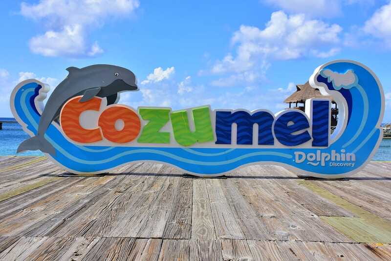 Cozumel: Dolphin Royal Connection and Manatee Interaction - Height, health, and language rules