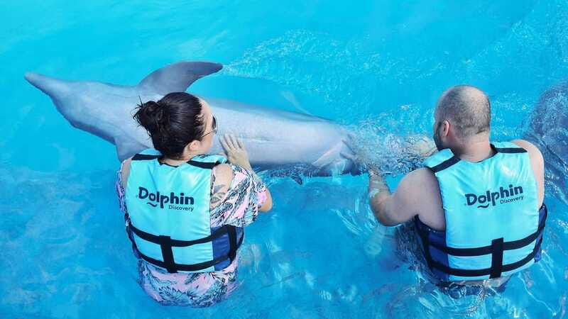 Cozumel: Dolphin Royal Connection and Manatee Interaction - Who will like this Cozumel experience