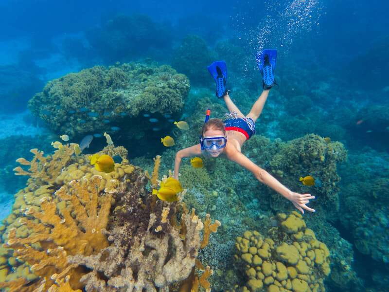 Cozumel: El Cielo, Palancar Reef, and Beach Party with Food - What happens at Palancar Reef