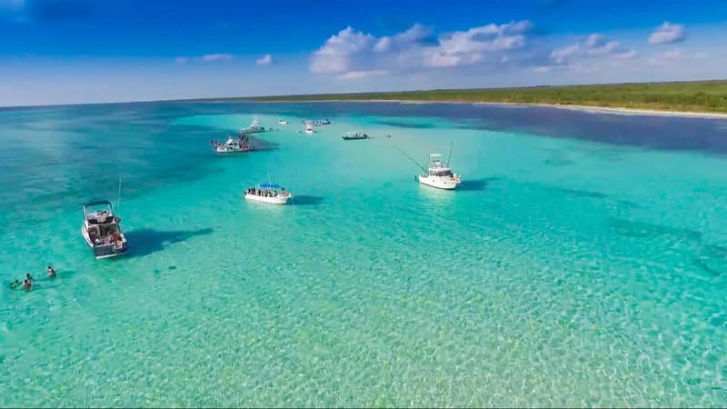 Cozumel: El Cielo & Palancar Snorkel with Open Bar & Ceviche - El Cielo, with starfish on the sandy bottom