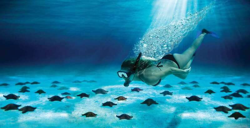 Cozumel: El Cielo & Palancar Snorkel with Open Bar & Ceviche - Speedboat or yacht, and why the difference matters