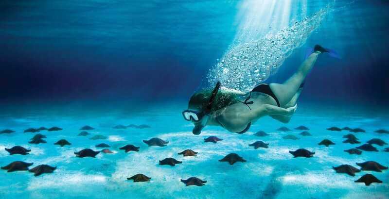 Cozumel: El Cielo & Palancar Snorkel with Open Bar & Ceviche - Guides, safety, and the feel on board