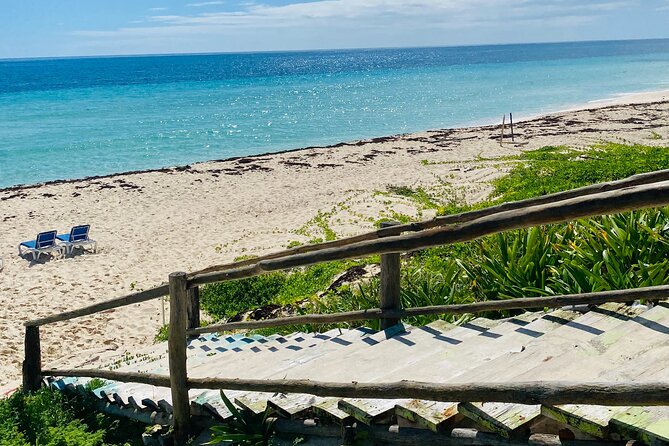 Cozumel Jeep Adventure Natural Cenote & Mayan Experience OTOCH - Cenote Aerolito may be the day’s highlight