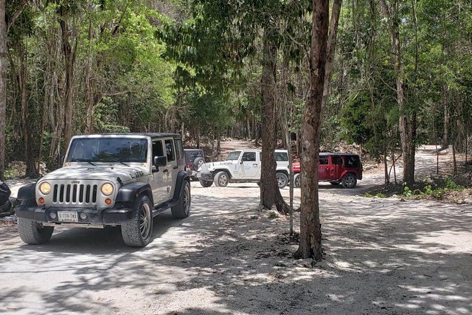 Cozumel Jeep Adventure to Jade Caverns with Lunch and Snorkel - Rancho Alejandra and the tequila tasting