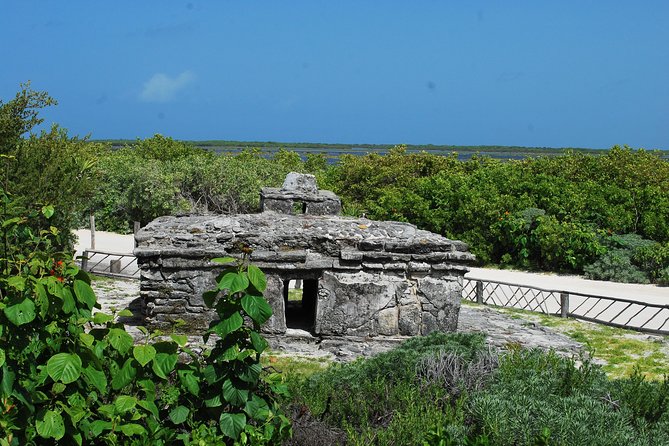 Cozumel Jeep and Snorkel Adventure with Lunch at Punta Sur Park - Is $99.99 a fair price?