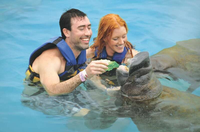 Cozumel: Manatee Encounter, Chankanaab Admission and Buffet - Meeting a manatee at Dolphin Discovery-Cozumel