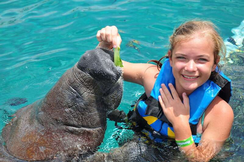 Cozumel: Manatee Encounter, Chankanaab Admission and Buffet - Chankanaab Park gives you a full day option