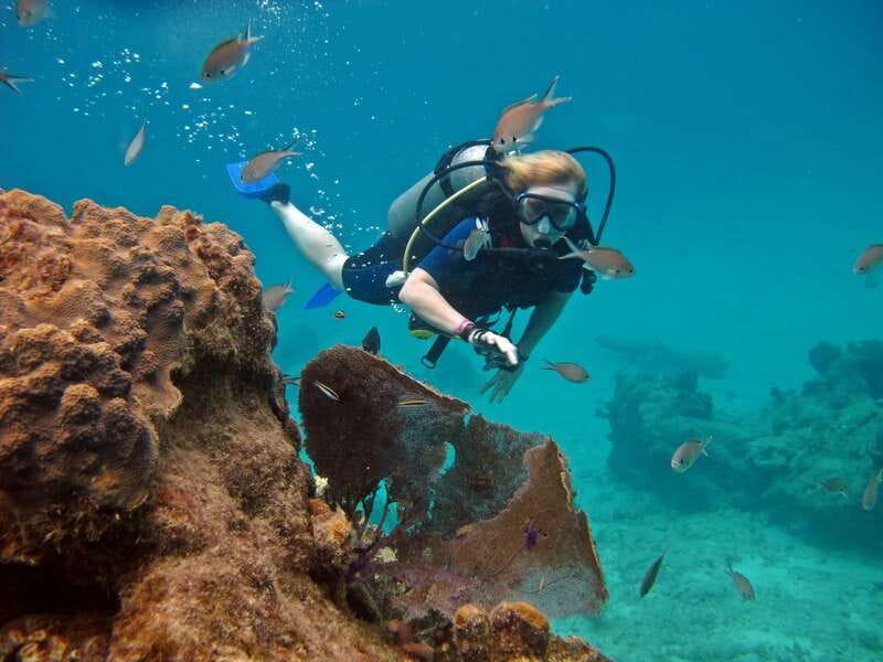 Cozumel: One Tank Scuba Dive and Full Chankanaab Park Access - Key points to know before booking