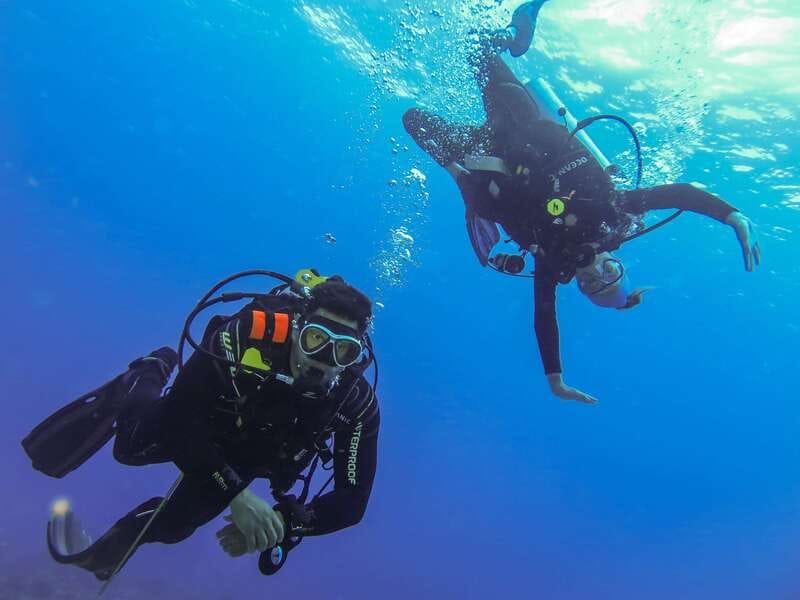 Cozumel: One Tank Scuba Dive and Full Chankanaab Park Access - Is the $63 price good value?