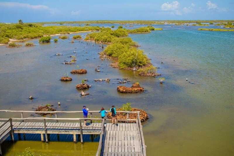 Cozumel: Private Buggy Tour to Punta Sur Park All Inclusive - Coco’s Beach Club combines lunch with water time