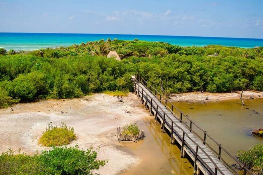 Cozumel: Private Buggy Tour to Punta Sur Park All Inclusive - A private buggy gives you flexibility, with a few limits