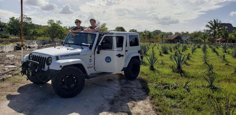 Cozumel Private Jeep Tour with Lunch and Snorkeling - Who will enjoy this best