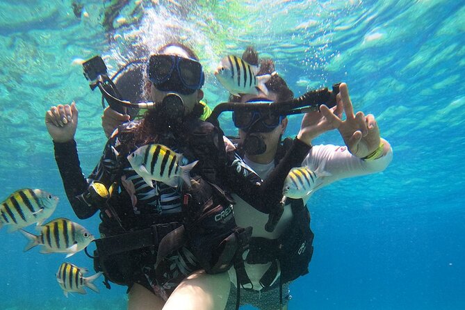 Cozumel Scuba Dive at Chankanaab - How group size affects the underwater time
