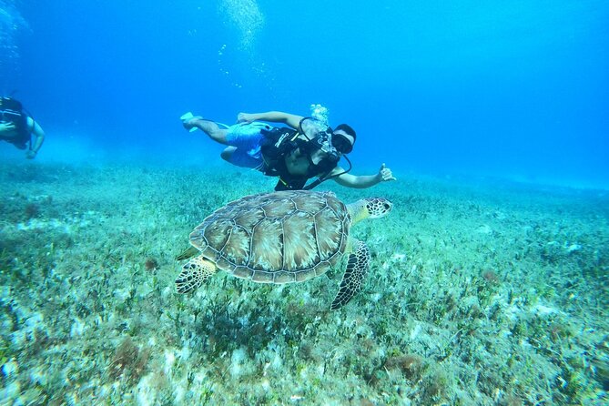 Cozumel Scuba Dive at Chankanaab - Photos and optional purchases after the swim