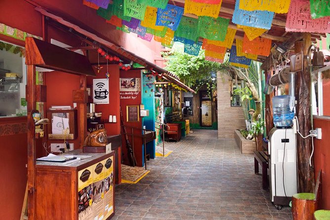 Cozumel Shore Excursion: 5-Hour Sightseeing Tour with Private Driver - El Mirador and the rough east coast